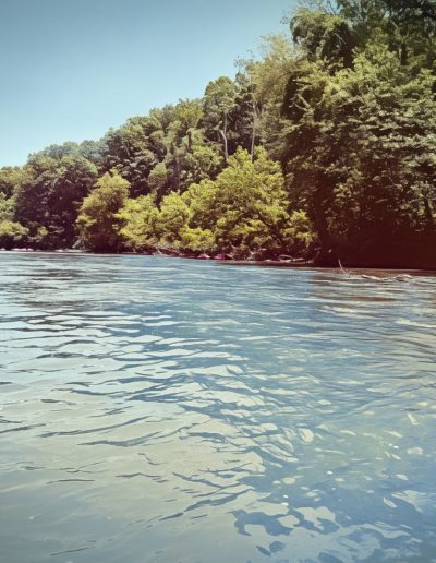 French Broad River in Asheville, NC.