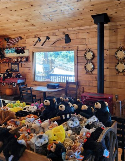 Gift shop at snow tubing location in Hendersonville, NC.
