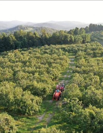 Scenic hayride on mountain in Hendersonville, NC.