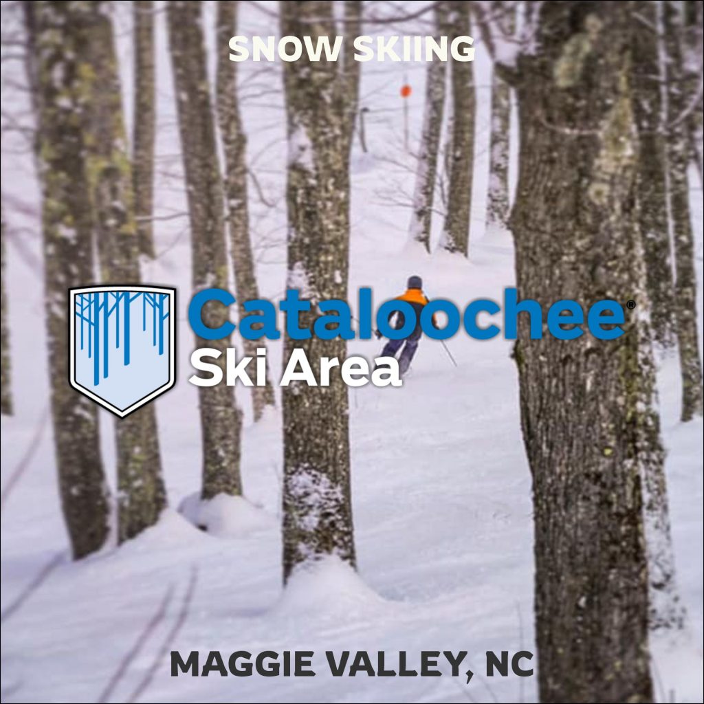 Person snow skiing through the woods at ski and snowboard area in NC mountains.