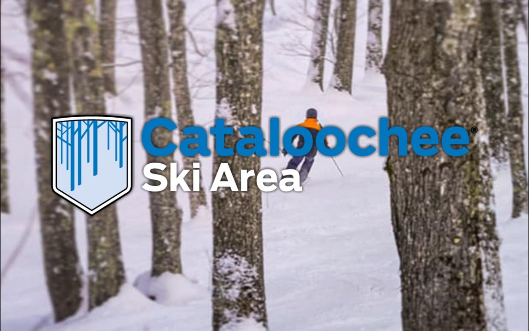 Person snow skiing through the woods at ski and snowboard area in NC mountains.