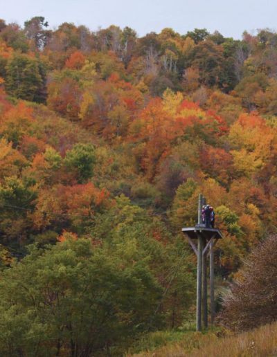 Ziplining station in the NC mountains near Boone, NC.