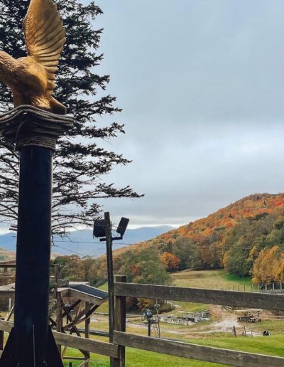 Hawksnest statue in front of zipline park near Greenville, SC.