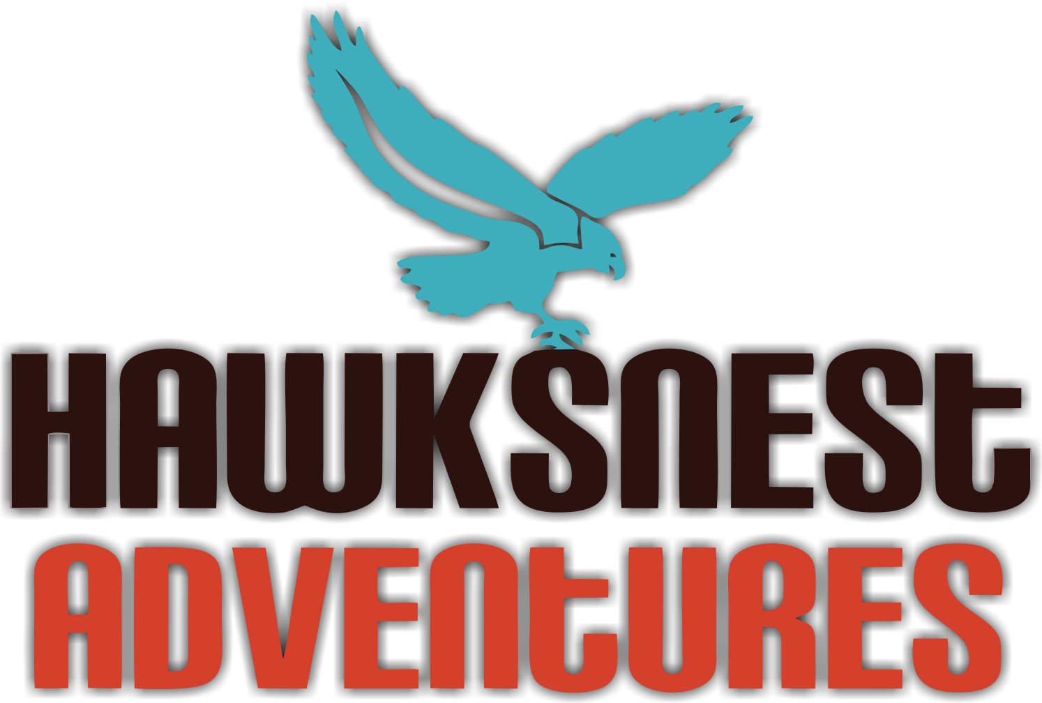 Logo for Hawksnest Adventures.