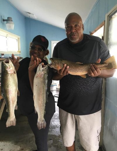 no license fishing Banner Elk NC