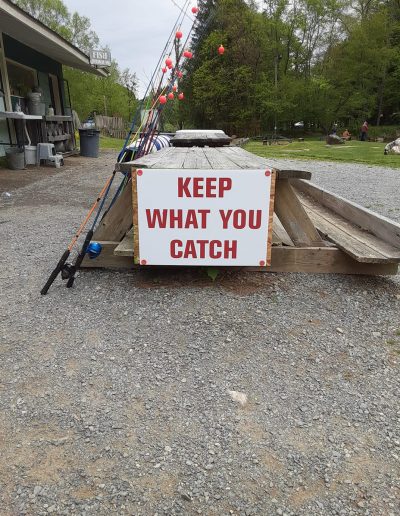 family trout fishing in Banner Elk
