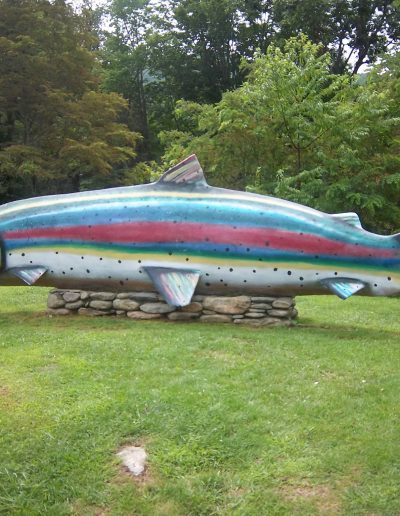 stocked trout pond High Country NC