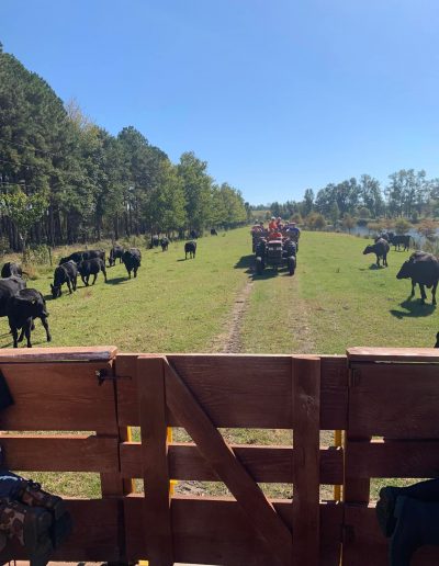 fish farm catch keep ponds NC