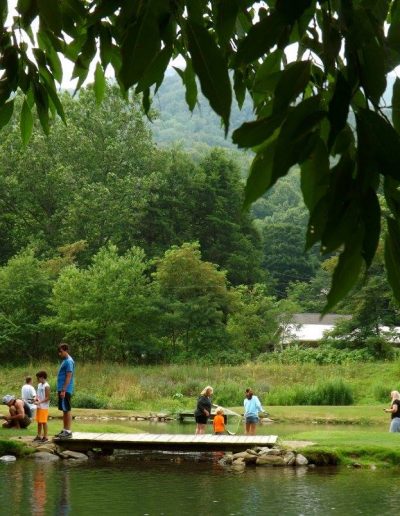High Country family attraction trout and gems