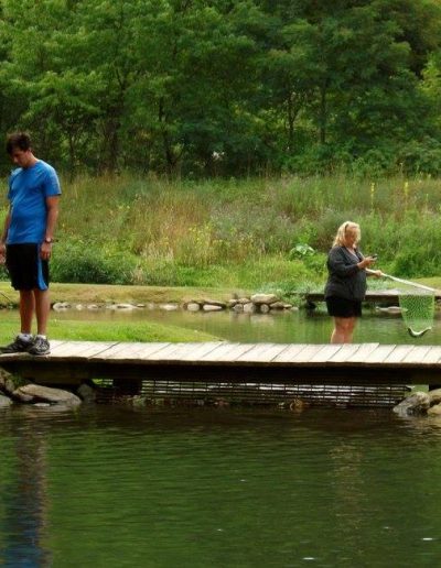 trout cleaning service Banner Elk