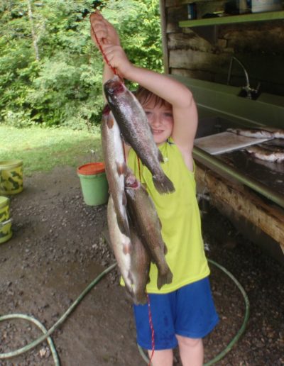 rainbow trout fishing near Smoky Mountains