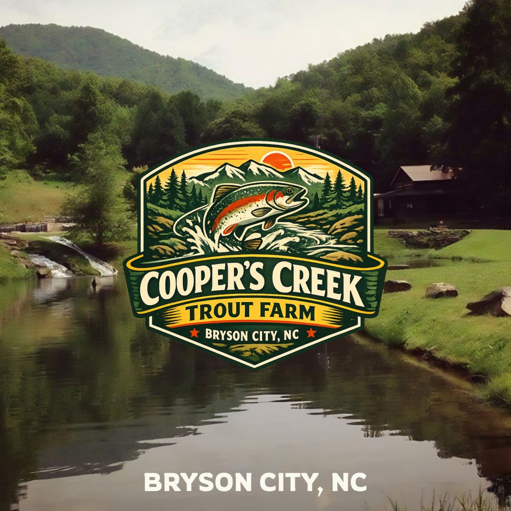 picnic and trout fishing near Bryson City