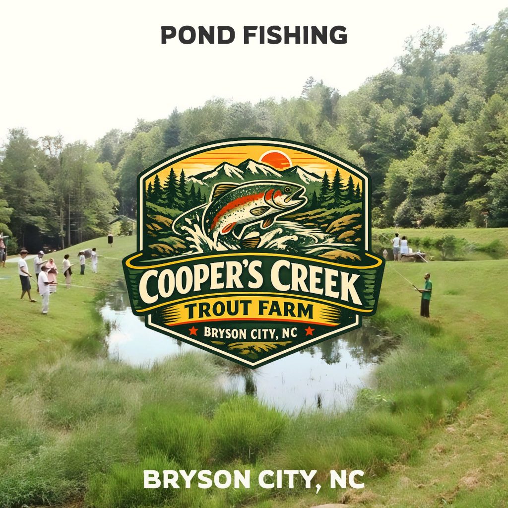 kids fishing pond Bryson City NC