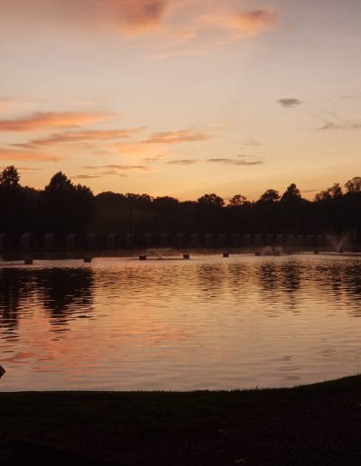 carp angling in Lincoln County NC
