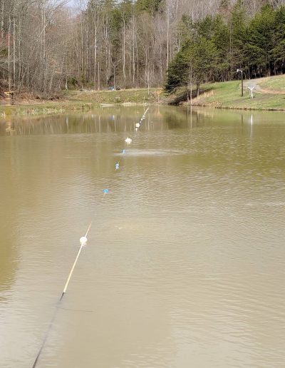 weekend catfish fishing Walnut Cove