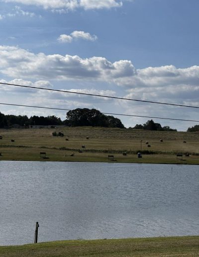 Robinson Catfish Lake big catfish