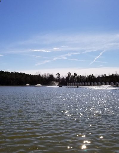 specialty carp fishing lake North Carolina