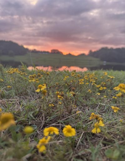 relaxed country fishing lake NC