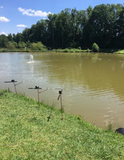 big fish catfish pond Walnut Cove