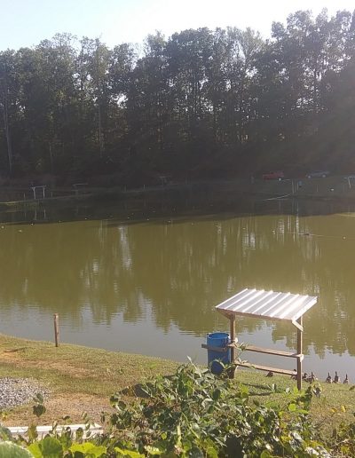 channel catfish pond Walnut Cove NC