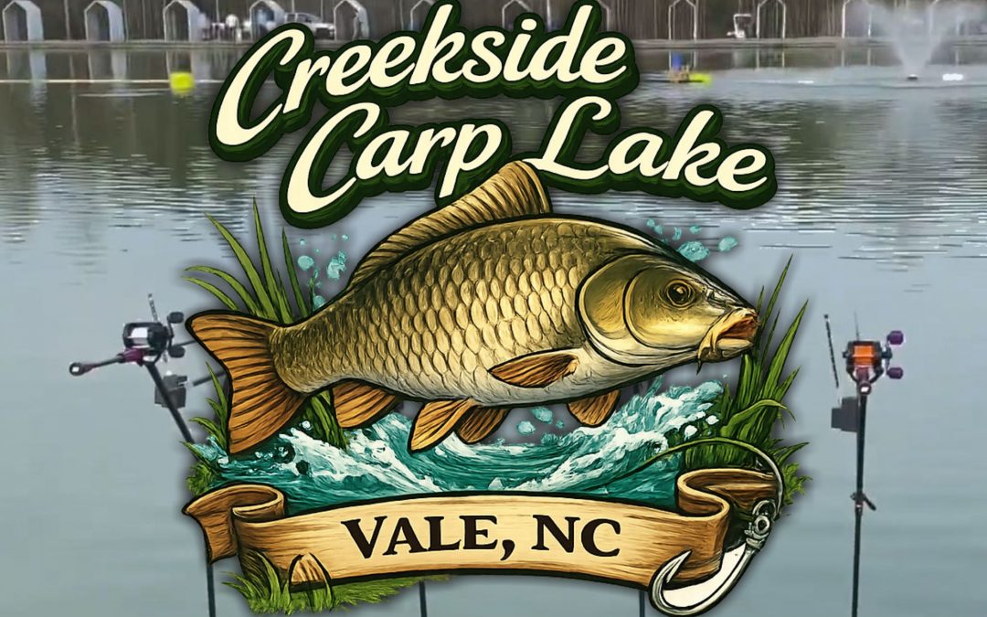 Fishing Creekside Carp Lake NC