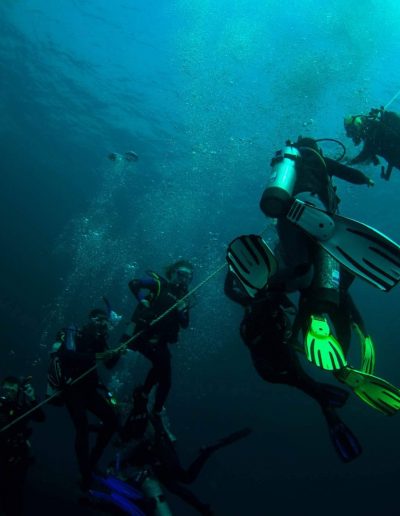 Scuba divers exploring offshore shipwrecks near Wilmington North Carolina