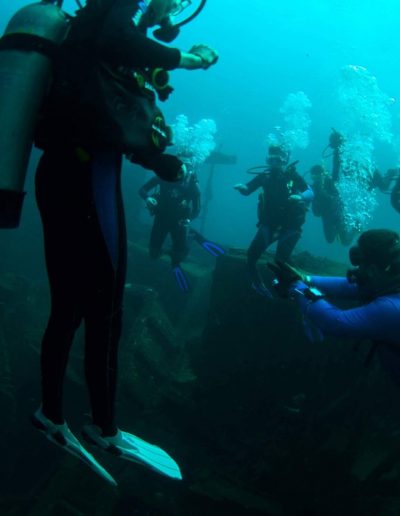 Aquatic Safaris shark diving at North Carolina wreck sites