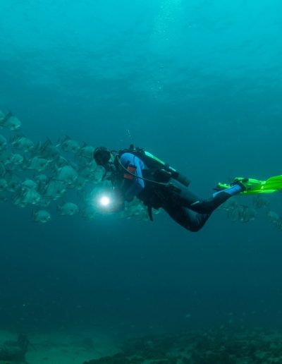 Scuba equipment rentals at Aquatic Safaris in Wilmington NC