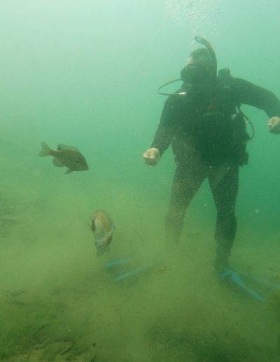 Freshwater scuba diving at Fantasy Lake in Wake Forest NC