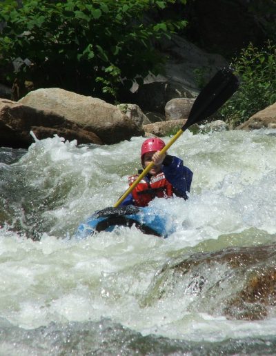 Guided rafting trip through the Blue Ridge Mountains on the French Broad River