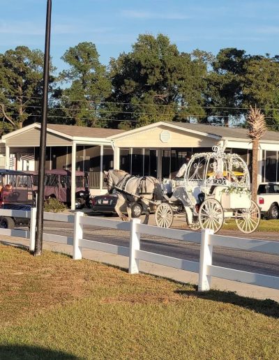 Camp Clearwater family campground on White Lake NC