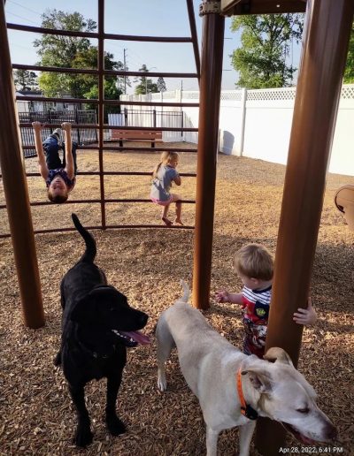 Kids activities at Camp Clearwater