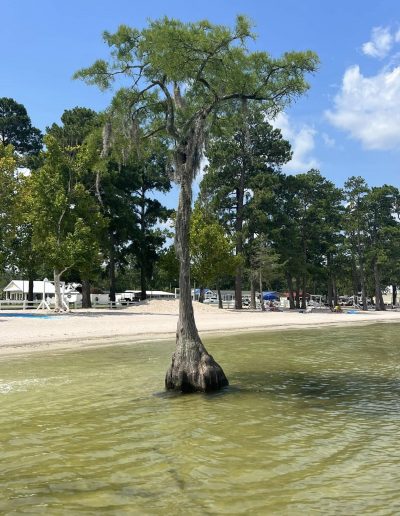 Camp Clearwater swimming White Lake NC