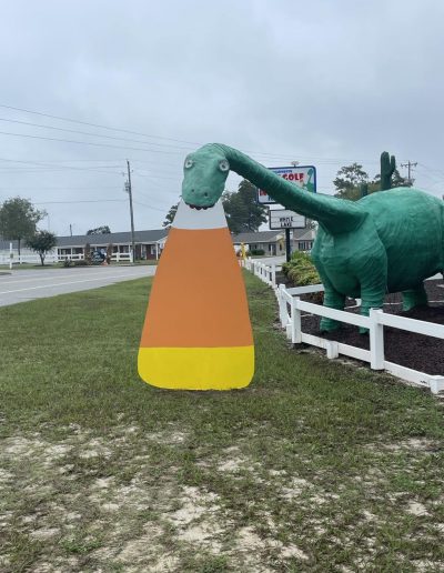 Dinosaur putt putt course in Elizabethtown, NC.
