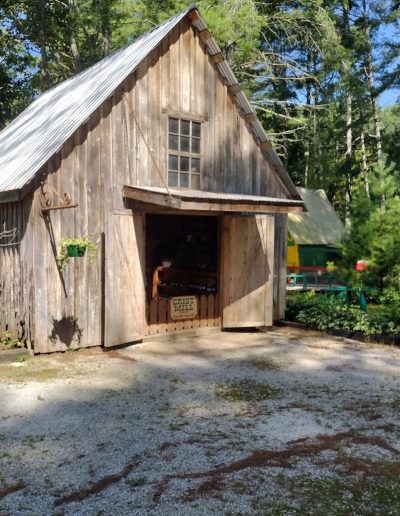 Rustic wooden building among trees at Santa’s Land in Cherokee, NC