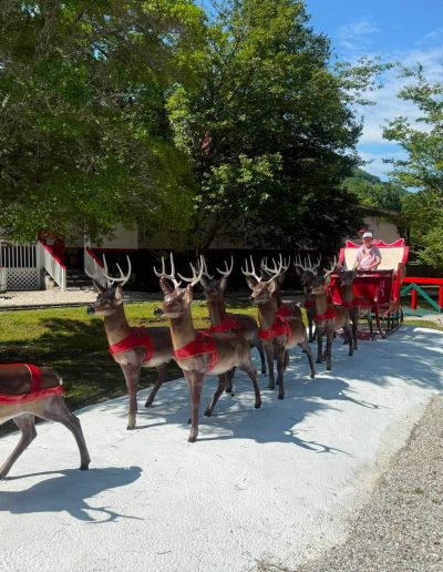 Reindeer statues pulling Santa’s sleigh through Santa’s Land in Cherokee, NC