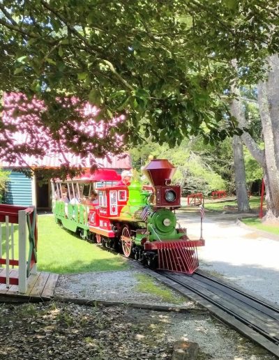 Green and red Santa’s Express train traveling along a wooded track in Cherokee, NC