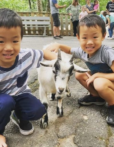 Children with a goat at Tweetsie Railroad Deer Park