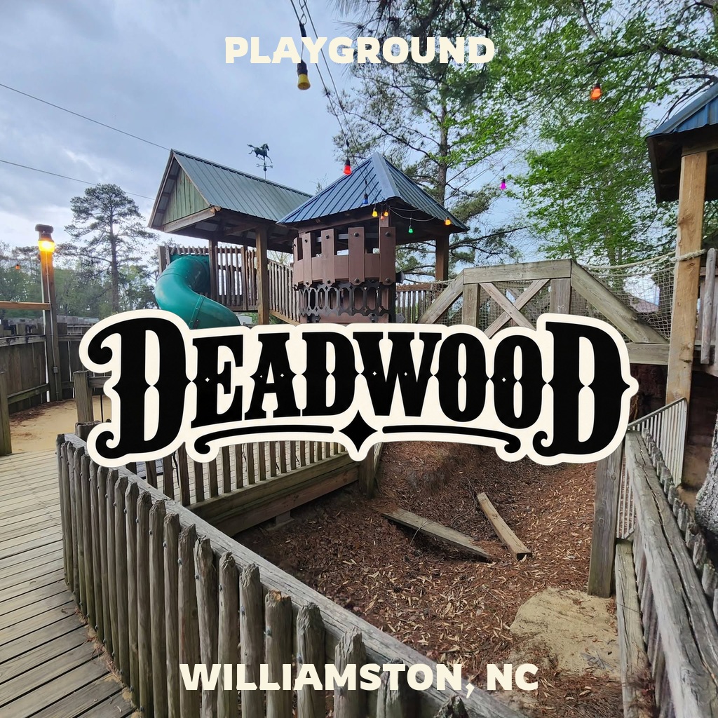 Deadwood Playground featured image with wooden play towers and green spiral slide near Williamston, NC