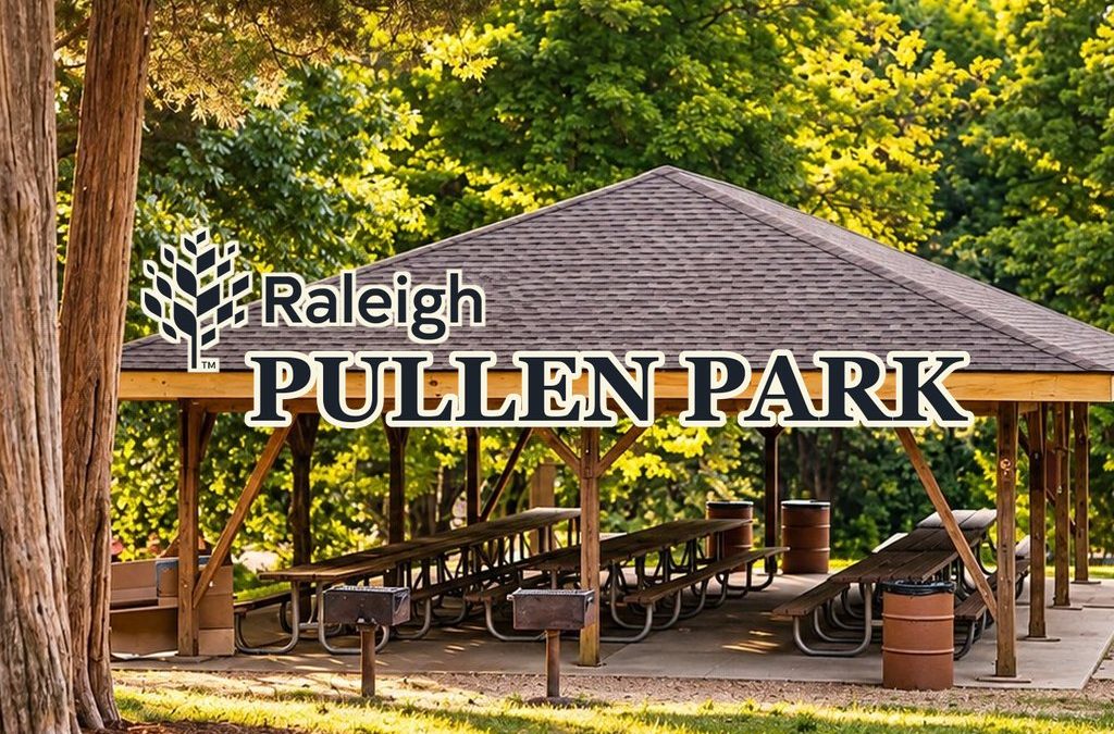 Picnicking Pullen Park NC
