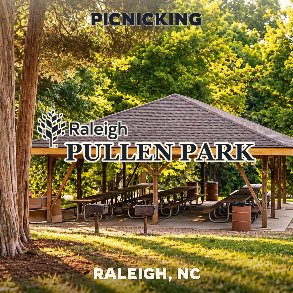 Picnicking at Pullen Park in Raleigh, NC