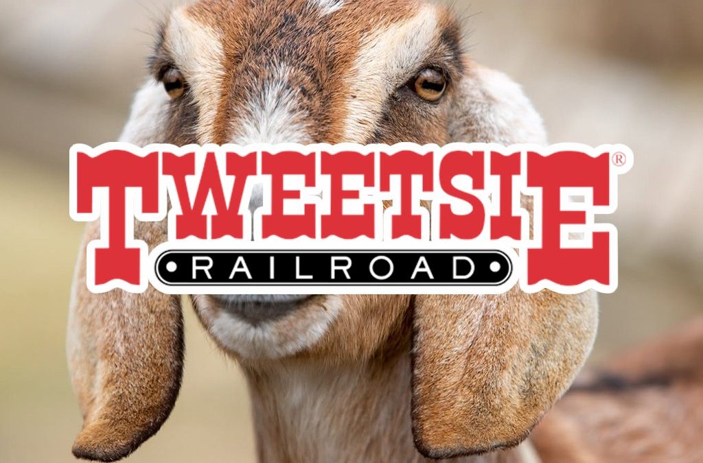 Petting Zoo Tweetsie Railroad NC