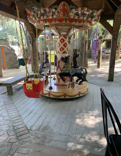 Carousel beneath a wooden shelter at Deadwood near Williamston, NC
