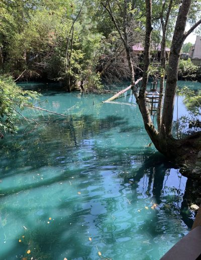 Turquoise pond surrounded by trees at Deadwood near Williamston, NC