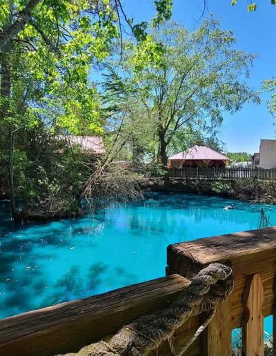 Blue-green pond and boardwalk at Deadwood near Williamston, NC