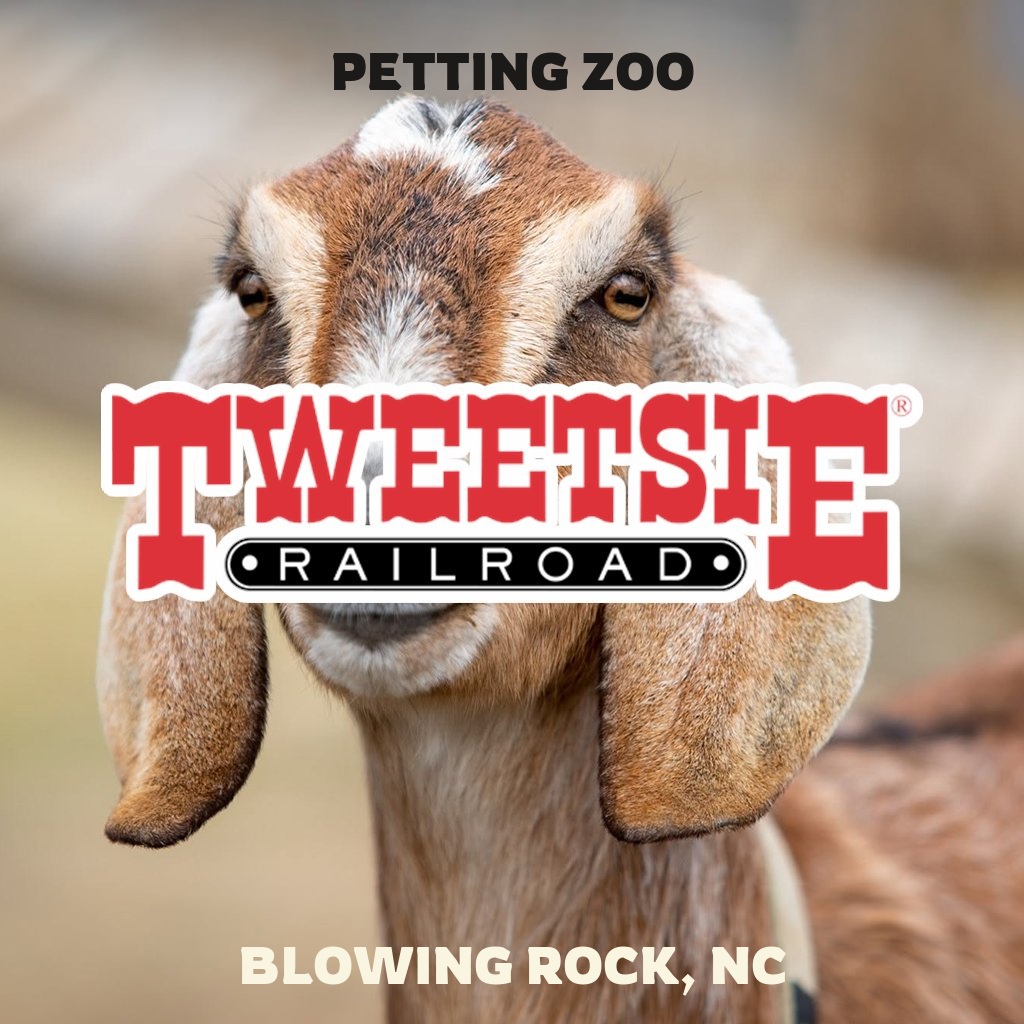 Petting zoo at Tweetsie Railroad in Blowing Rock, NC